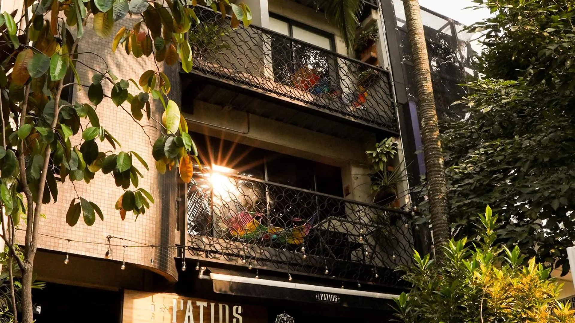 Los Patios Hostel 麦德林